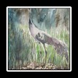 Akwarela_0028