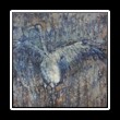 Batik_0006