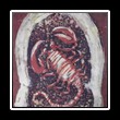 Batik_0047