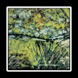 Batik_0154
