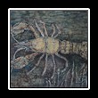 Batik_0158