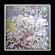 Jedwab_0059